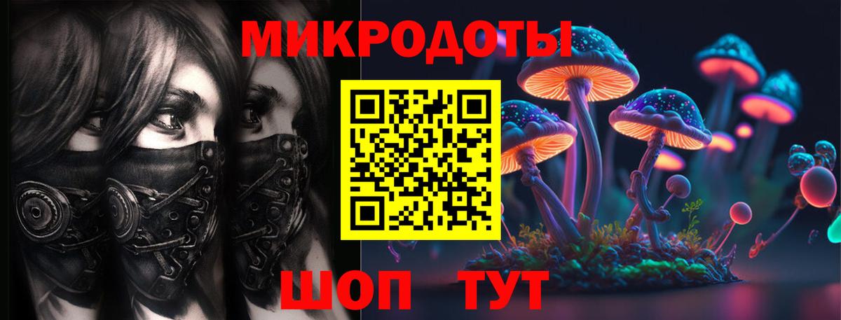 Галлюциногенные грибы Psilocybe Черняховск